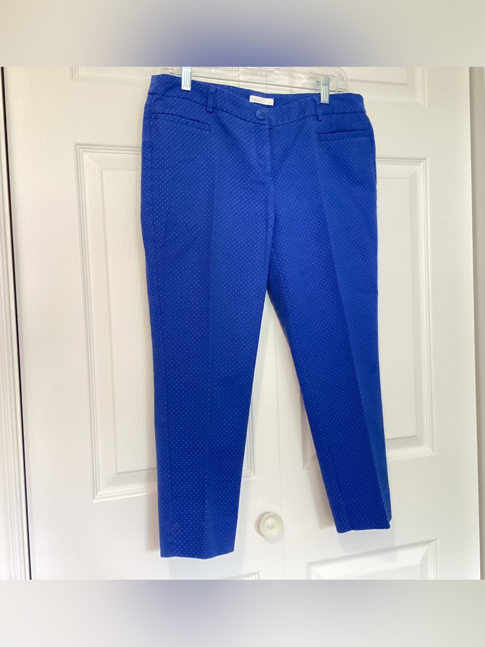 Dalia capris in a pretty royal blue & white dotted print. Size 10.